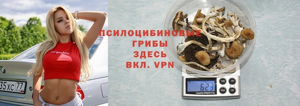 трава Баксан