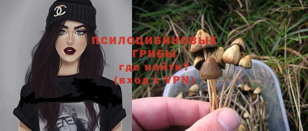 трава Баксан