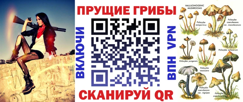 Купить  Артёмовский  Псилоцибиновые грибы Psilocybine cubensis 